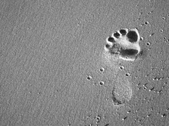 La sémiologie ou l'étude des signes