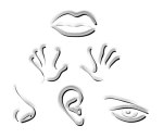 sens_reseaux_sociaux_internet_sémiotique