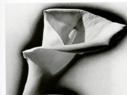 calaferte_blog_extension_ecriture